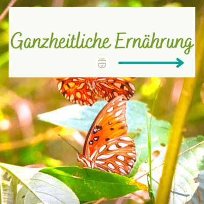 Man sieht Schmetterlinge auf Blättern. Das Thema ist Ganzheitliche Ernährung im Lymphbalance Newsletter von Jeannine Gashi.