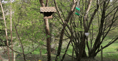 Man sieht zwei Vogelhäuschen und im Hintergrund Bäume. 12 von 12 im April 2022.